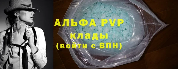 ECSTASY Алзамай