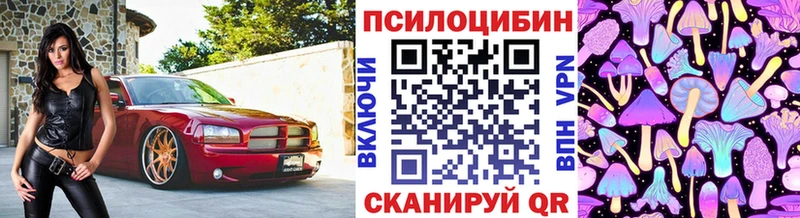 Псилоцибиновые грибы GOLDEN TEACHER  Бавлы 